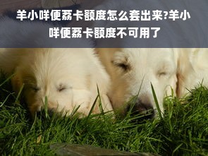 羊小咩便荔卡额度怎么套出来?羊小咩便荔卡额度不可用了