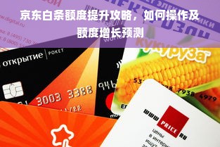 京东白条额度提升攻略，如何操作及额度增长预测