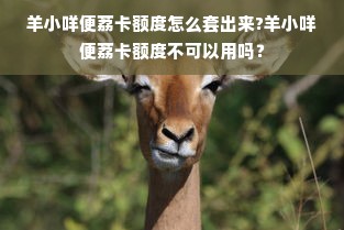 羊小咩便荔卡额度怎么套出来?羊小咩便荔卡额度不可以用吗？