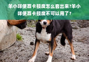 羊小咩便荔卡额度怎么套出来?羊小咩便荔卡额度不可以用了?