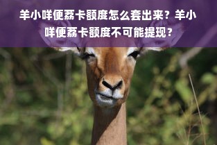 羊小咩便荔卡额度怎么套出来？羊小咩便荔卡额度不可能提现？