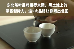 东北茶叶品牌推荐文案，黑土地上的茶香新势力，这5大品牌让你喝出北国风味