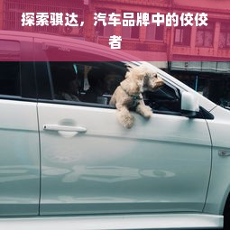 探索骐达，汽车品牌中的佼佼者