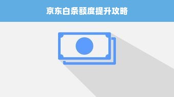 京东白条额度提升攻略