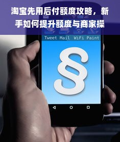 淘宝先用后付额度攻略，新手如何提升额度与商家操作指南