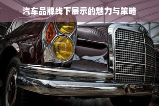 汽车品牌线下展示的魅力与策略