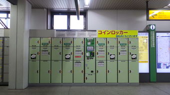中日冰箱产业双向奔赴，从中国进口品牌如何打开日本市场？