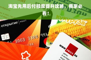淘宝先用后付额度提升攻略，商家必看！