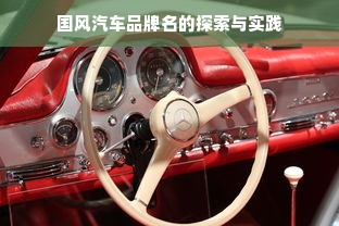 国风汽车品牌名的探索与实践