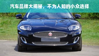 汽车品牌大揭秘，不为人知的小众选择