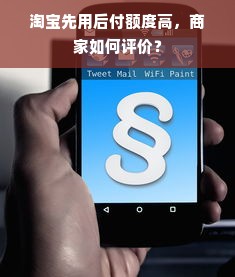 淘宝先用后付额度高，商家如何评价？
