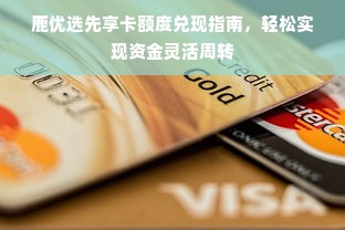 鹿优选先享卡额度兑现指南，轻松实现资金灵活周转