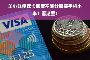羊小咩便荔卡额度不够分期买手机小米？看这里！