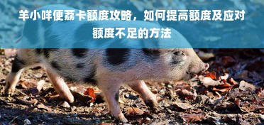 羊小咩便荔卡额度攻略，如何提高额度及应对额度不足的方法