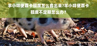 羊小咩便荔卡额度怎么套出来?羊小咩便荔卡额度不定期怎么办？