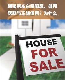揭秘京东白条额度，如何获取与正确使用？为什么有些人没有额度？