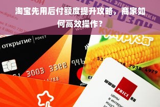 淘宝先用后付额度提升攻略，商家如何高效操作？