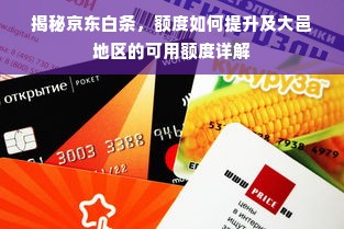 揭秘京东白条，额度如何提升及大邑地区的可用额度详解