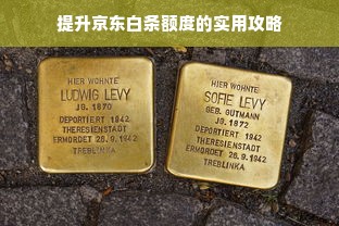 提升京东白条额度的实用攻略