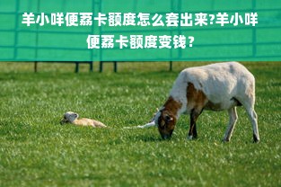 淘宝先用后付额度套用全攻略，5招提额秘籍+避坑指南+真实案例解析
