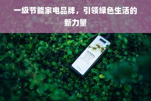 一级节能家电品牌，引领绿色生活的新力量