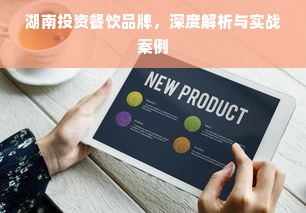 湖南投资餐饮品牌，深度解析与实战案例