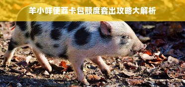 羊小咩便荔卡包额度套出攻略大解析