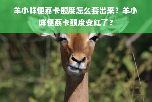 羊小咩便荔卡额度怎么套出来？羊小咩便荔卡额度变红了？