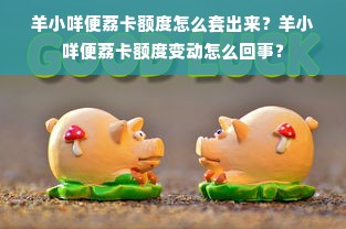 羊小咩便荔卡额度怎么套出来？羊小咩便荔卡额度变动怎么回事？