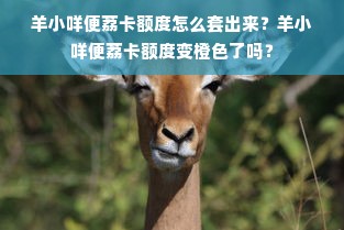 羊小咩便荔卡额度怎么套出来？羊小咩便荔卡额度变橙色了吗？