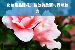 化妆品品牌花，绽放的美丽与品牌魅力