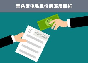 黑色家电品牌价值深度解析