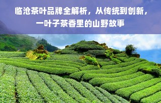 临沧茶叶品牌全解析，从传统到创新，一叶子茶香里的山野故事
