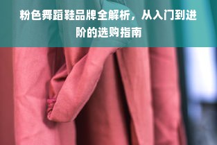 粉色舞蹈鞋品牌全解析，从入门到进阶的选购指南
