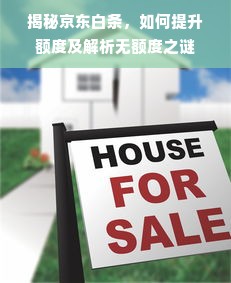 揭秘京东白条，如何提升额度及解析无额度之谜