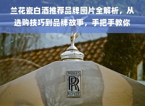 兰花瓷白酒推荐品牌图片全解析，从选购技巧到品牌故事，手把手教你选对酒