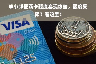 羊小咩便荔卡额度套现攻略，额度受限？看这里！