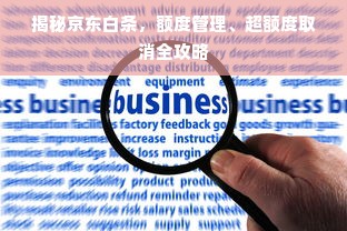 揭秘京东白条，额度管理、超额度取消全攻略