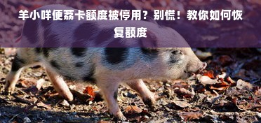 羊小咩便荔卡额度被停用？别慌！教你如何恢复额度
