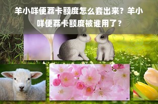 羊小咩便荔卡额度怎么套出来？羊小咩便荔卡额度被谁用了？