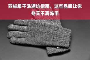 羽绒服干洗避坑指南，这些品牌让你冬天不再冻手