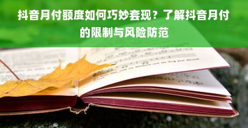抖音月付额度如何巧妙套现？了解抖音月付的限制与风险防范