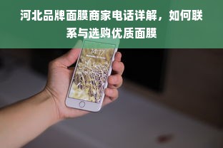 羊小咩便荔卡包额度攻略，如何巧妙套出并有效使用？