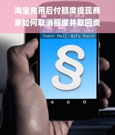 淘宝先用后付额度提现商家如何取消额度并取回资金？