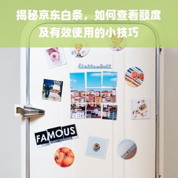 揭秘京东白条，如何查看额度及有效使用的小技巧