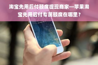 淘宝先用后付额度提现商家—苹果淘宝先用后付专属额度在哪里？