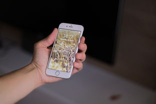 淘宝先用后付额度提现商家，苹果淘宝先用后付临时额度是真的吗？