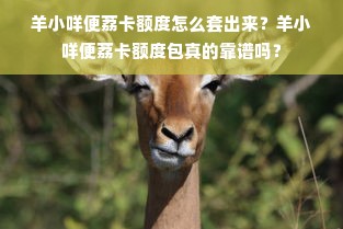 羊小咩便荔卡额度怎么套出来？羊小咩便荔卡额度包真的靠谱吗？