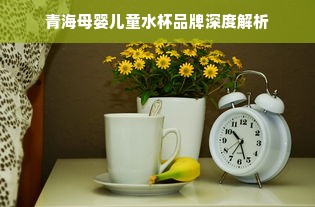 青海母婴儿童水杯品牌深度解析