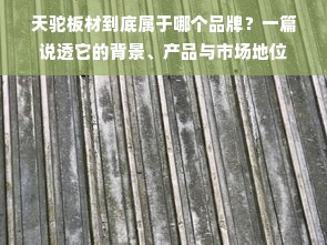 天驼板材到底属于哪个品牌？一篇说透它的背景、产品与市场地位